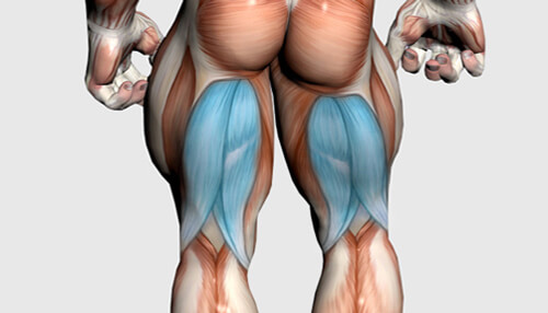 Hamstrings